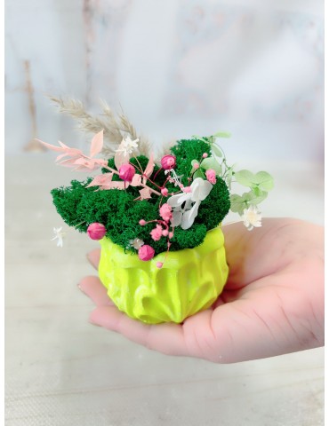 Saptamana Verde - Atelier...