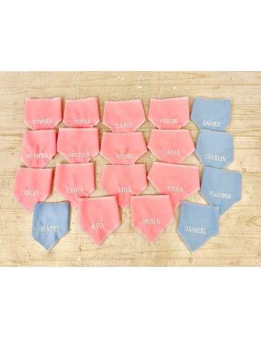 Proiect antibullying în...